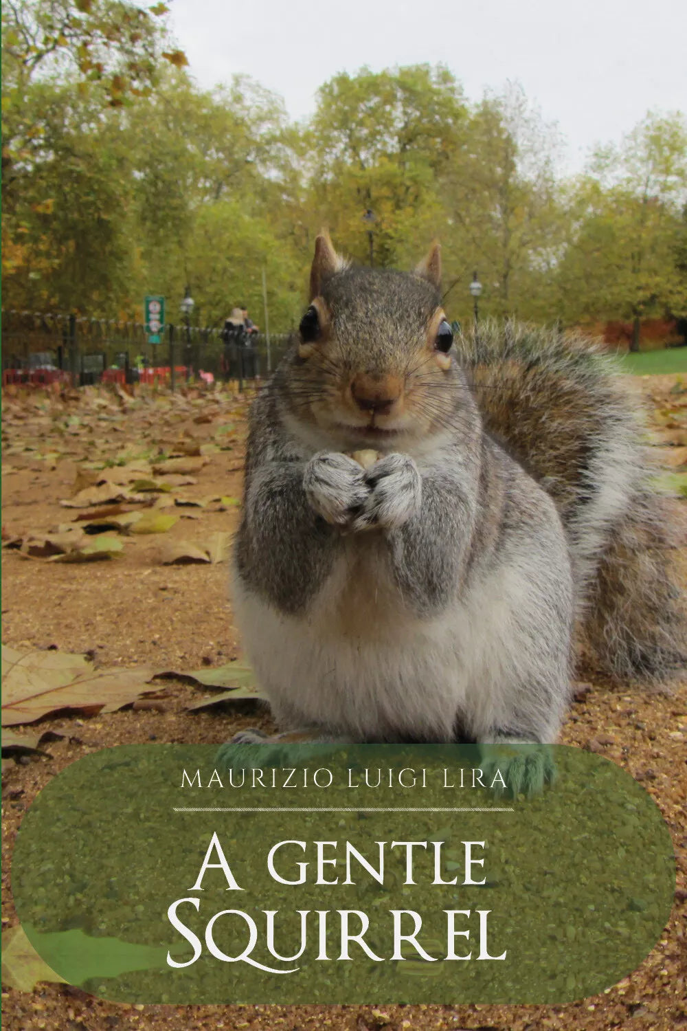 A Gentle Squirrel di Maurizio Luigi Lira