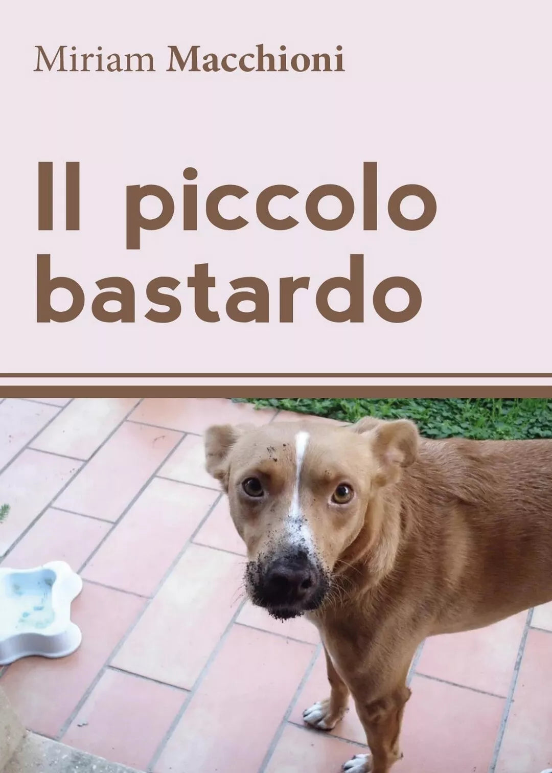 Il piccolo bastardo di Miriam Macchioni, 2016, Youcanprint