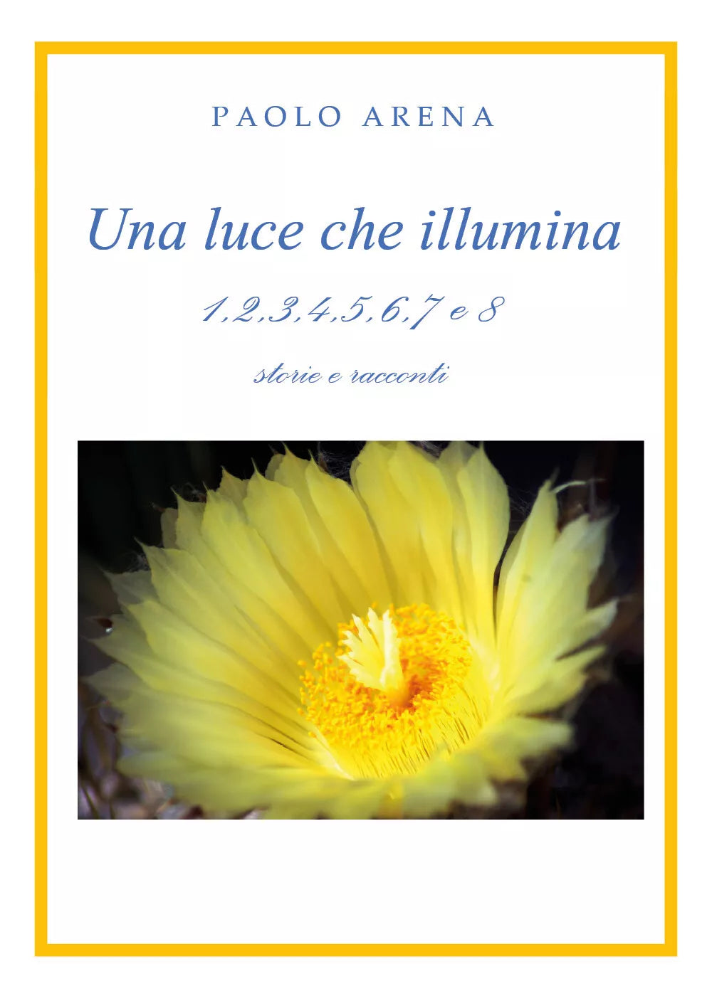 Una luce che illumina di Paolo Arena, 2021, Youcanprint