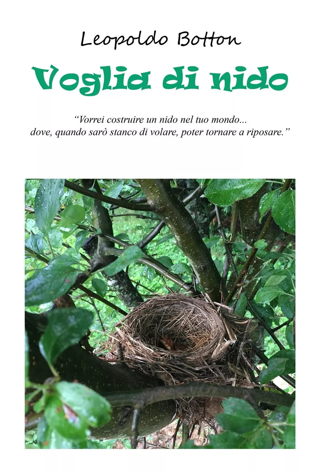 Voglia di nido di Leopoldo Botton, 2018, Youcanprint