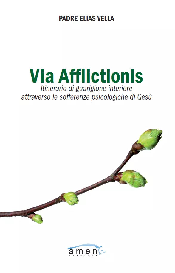 Via afflictionis Itinerario di guarigione interiore attraverso le sofferenze ps
