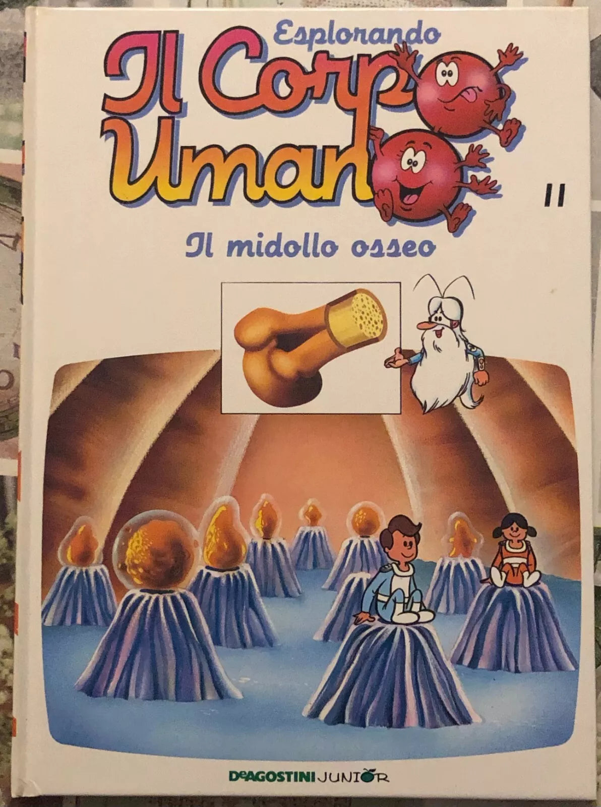 Esplorando il corpo umano n 11