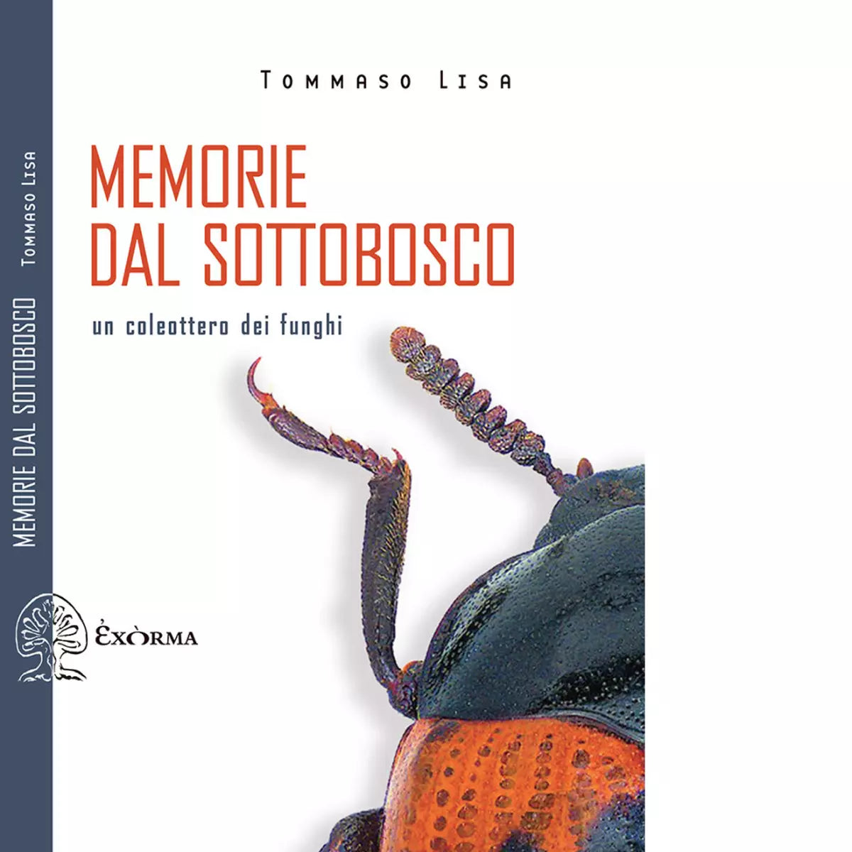 MEMORIE DAL SOTTOBOSCO UN COLEOTTERO DEI FUNGHI di Lisa Tommaso