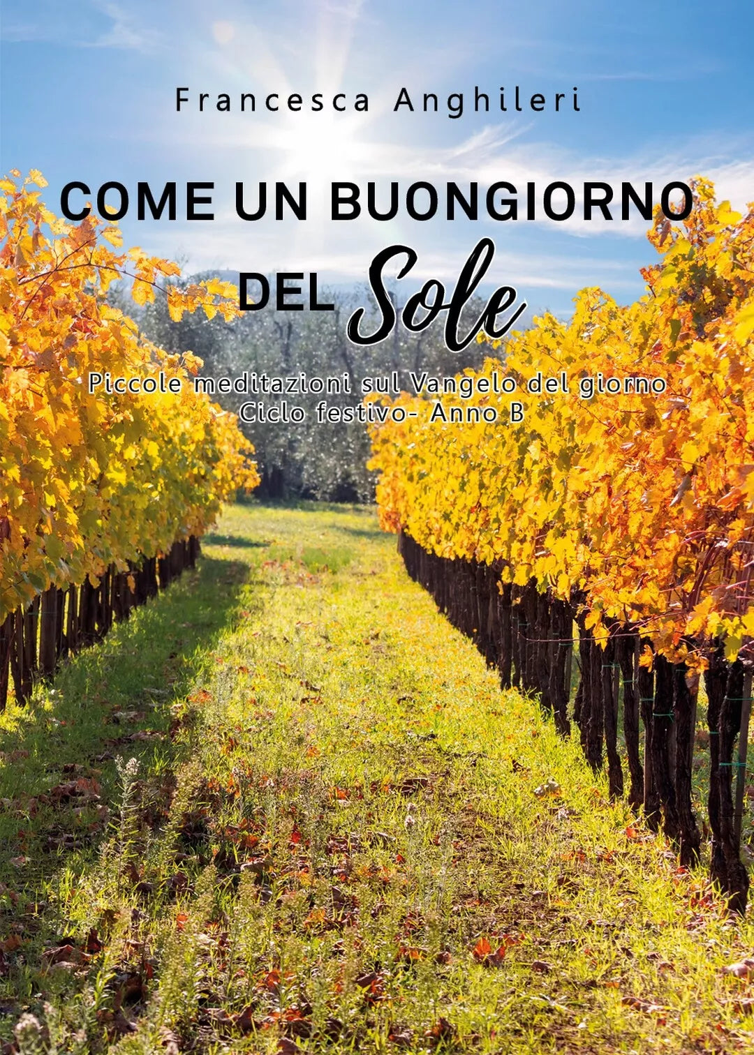 Come un buongiorno del sole. Piccole meditazioni sul Vangelo del giorno. 2020