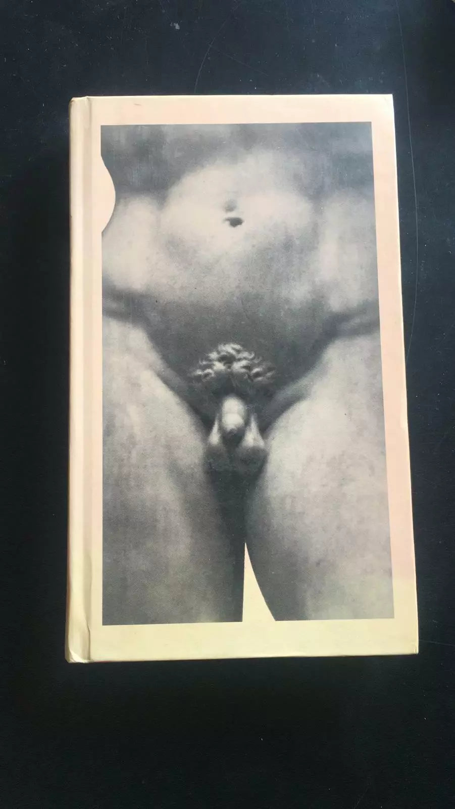 Il libro del pene - Maggie Paley, 1999, Newton & Compton - P