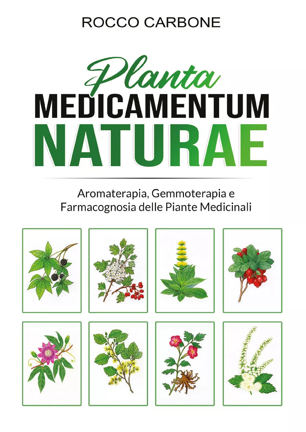Medicamentum Naturae di Rocco Carbone