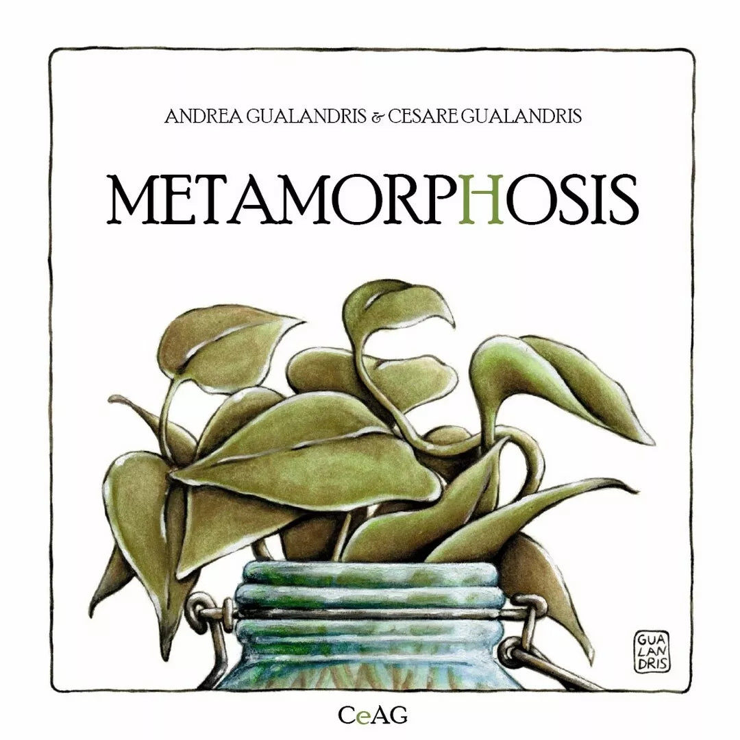 METAMORPHOSIS di Andrea Gualandris, Cesare Gualandris, 2019, Youcanprint