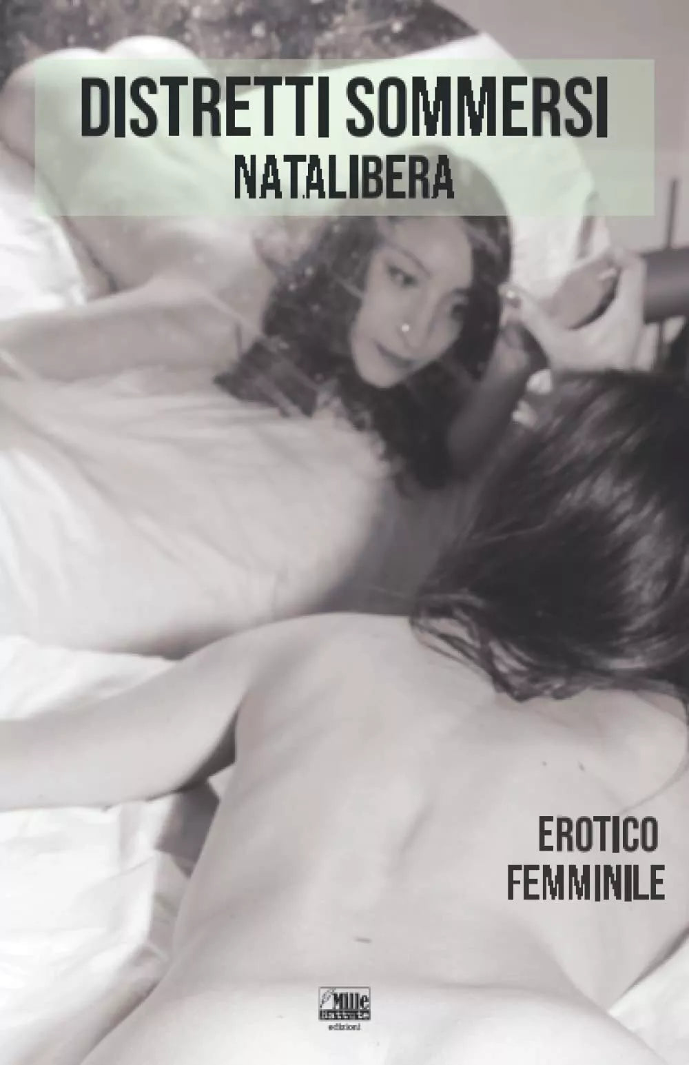 Distretti sommersi di Nata Libera