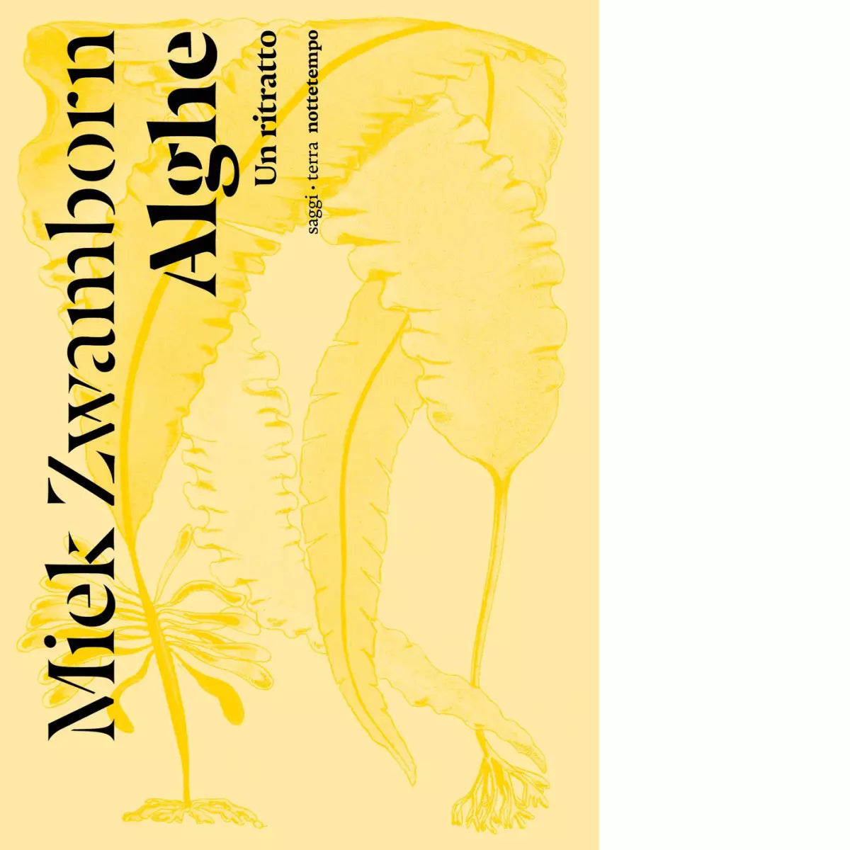 Alghe di Miek Zwamborn