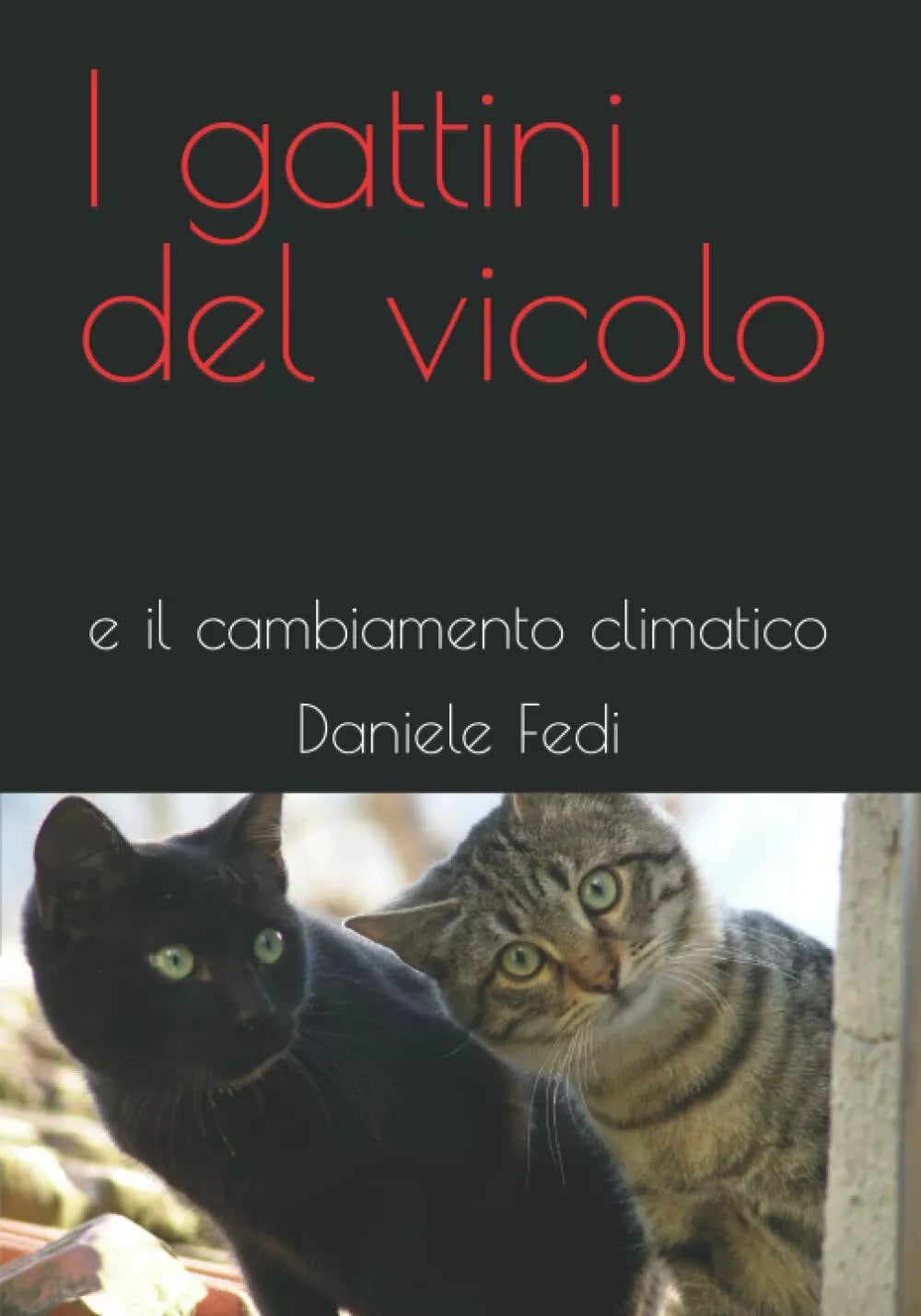 I gattini del vicolo