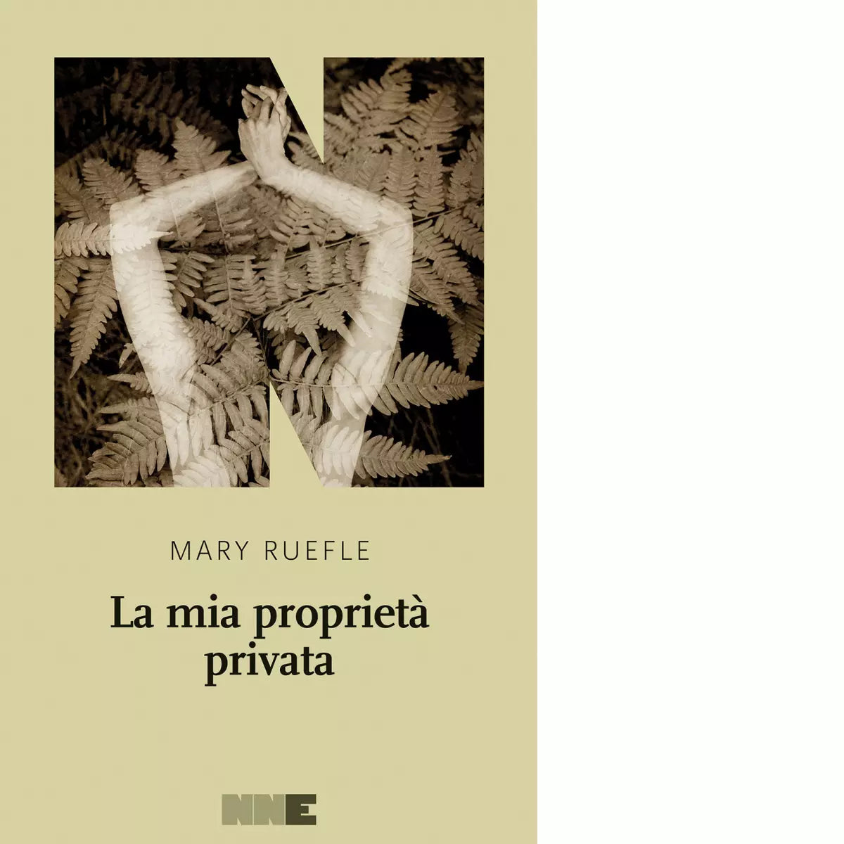 La mia propriet privata di Mary Ruefle
