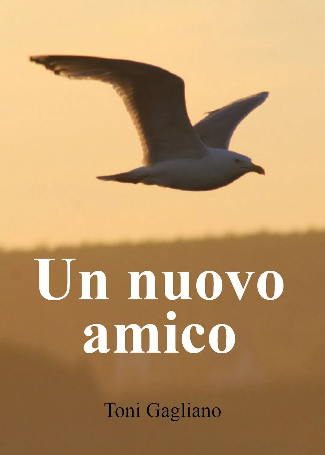 Un nuovo amico di Toni Gagliano, 2019, Youcanprint