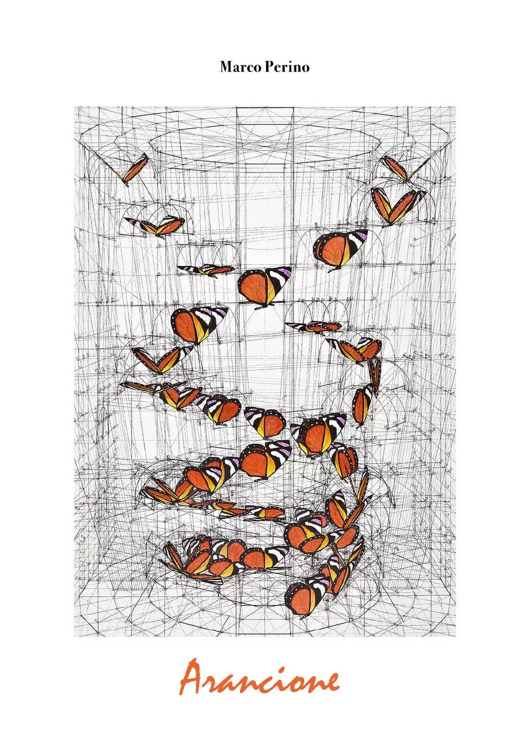 Arancione di Marco Perino, 2020, Youcanprint