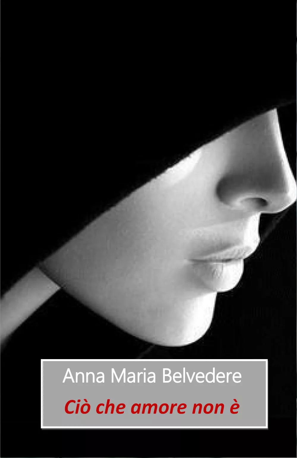 Cio che amore non e di Anna Maria Belvedere, 2018, Youcanprint