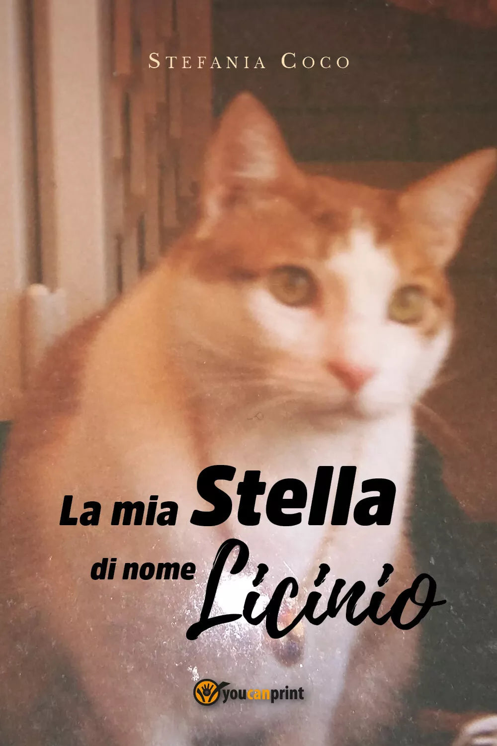 La mia stella di nome Licinio di Stefania Coco, 2019, Youcanprint
