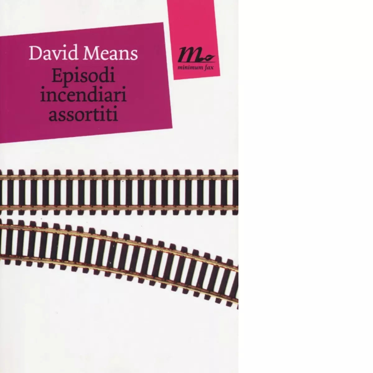 Episodi incendiari assortiti di David Means