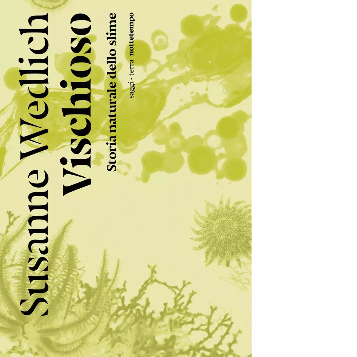 Vischioso Storia naturale dello slime di Susanne Wedlich