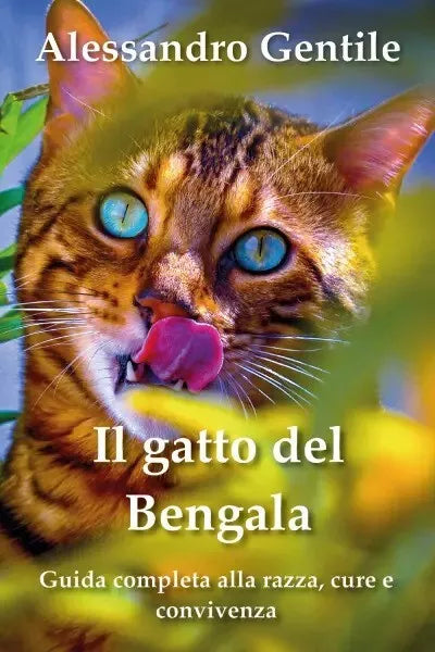 Il gatto del Bengala