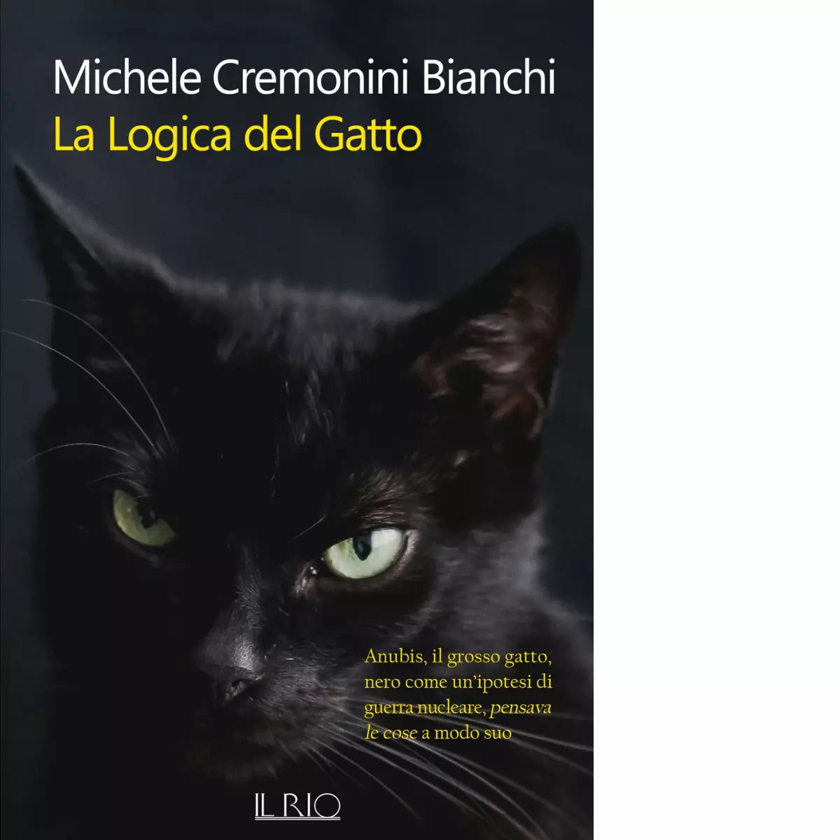 La logica del gatto di Michele Cremonini Bianchi