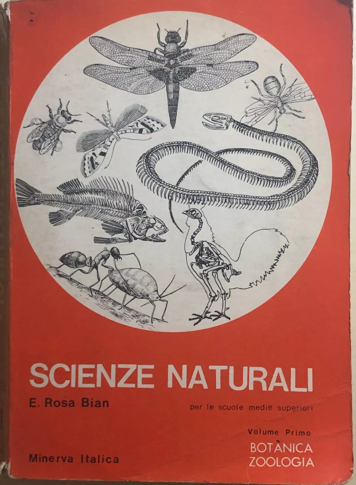 Scienze naturali Vol.I di E. Rosa Bian, 1973, Minerva Italica