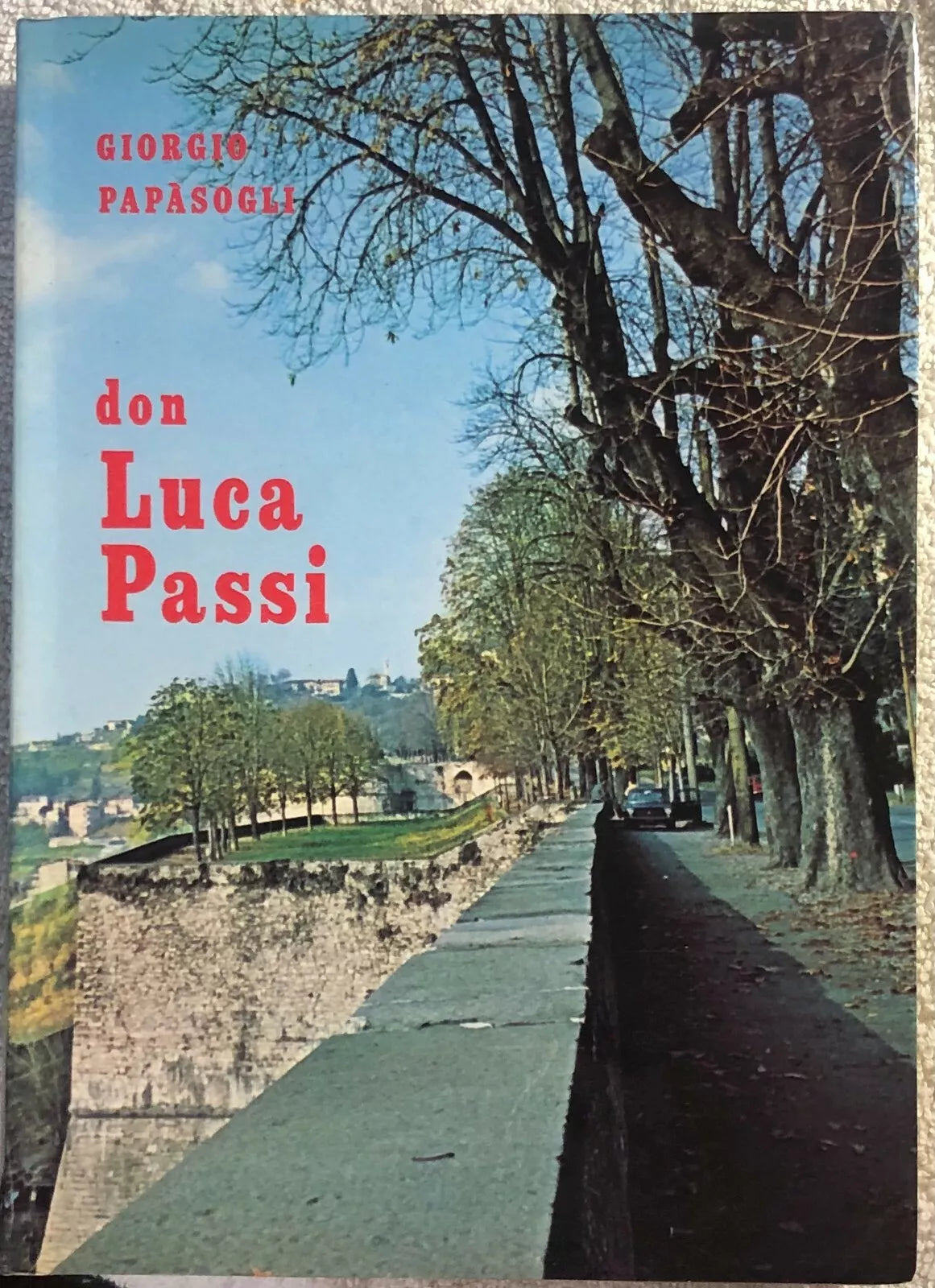 Don Luca Passi di Giorgio Papasogli, 1978, Istituto Delle Suore Maestre Di San