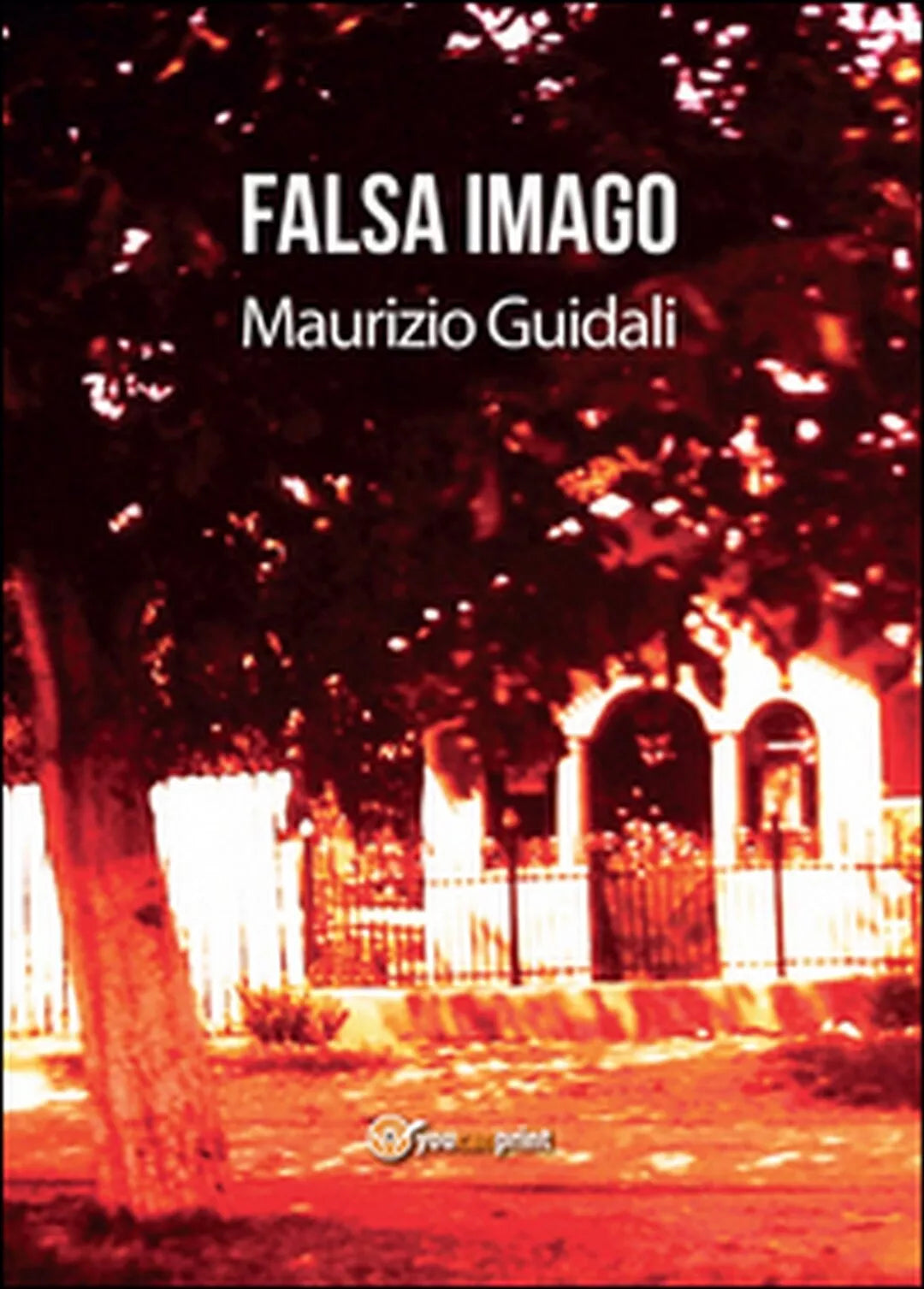 Falsa imago di Maurizio Guidali, 2015, Youcanprint