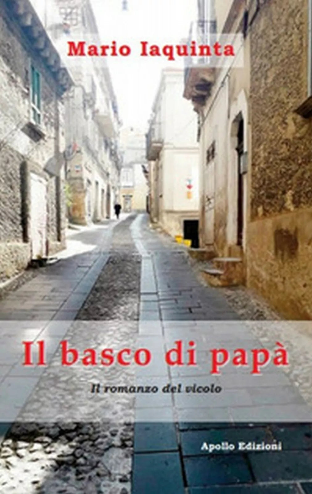 Il basco di papa. Il romanzo del vicolo di Mario Iaquinta, 2018, Apollo Ediz.