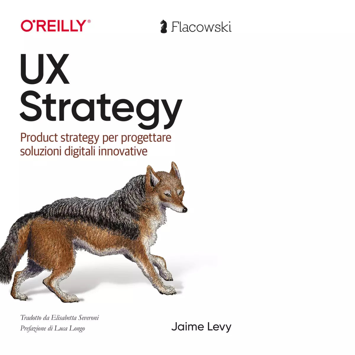 UX Strategy di Jaime Levy