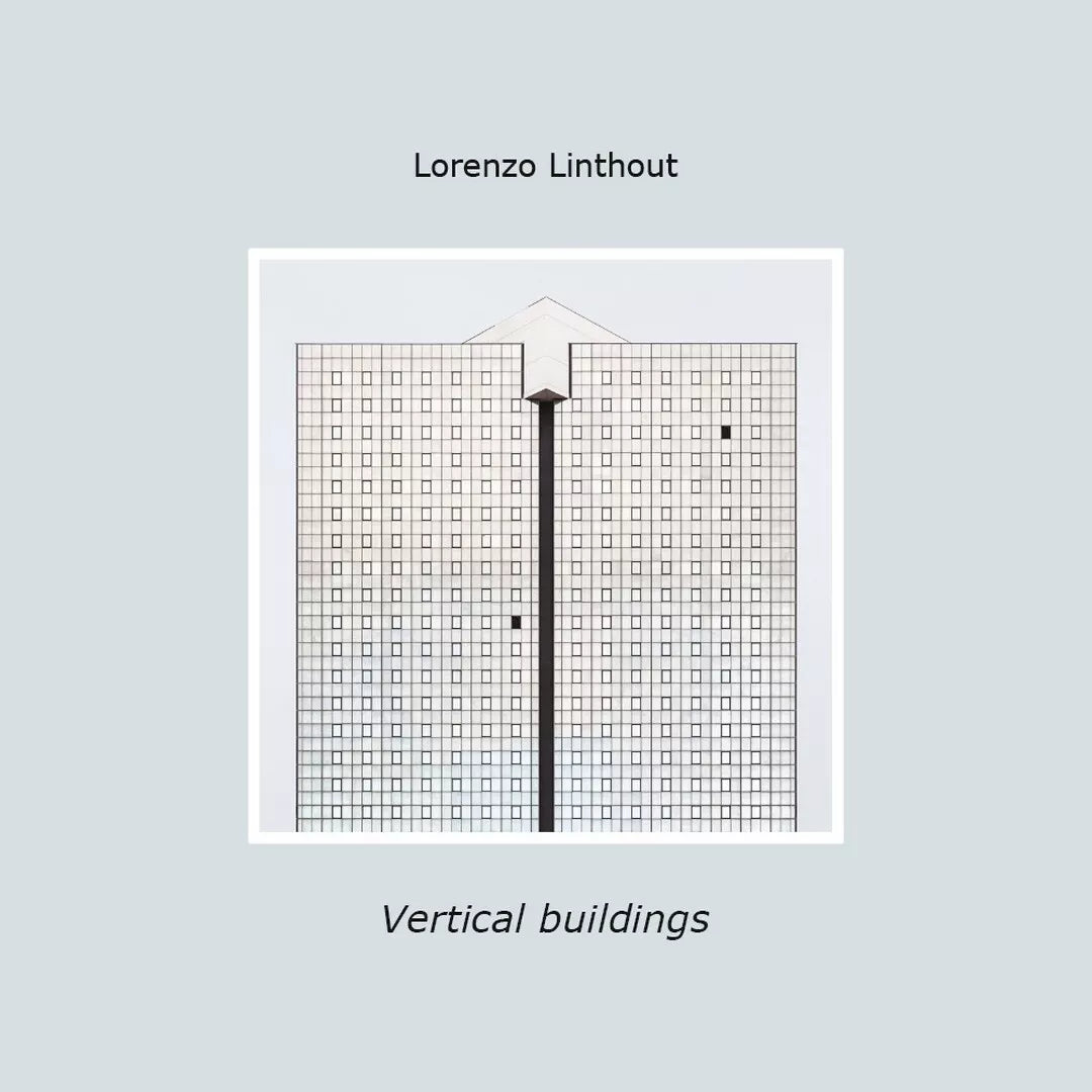 Vertical buildings di Lorenzo Linthout, 2020, Youcanprint