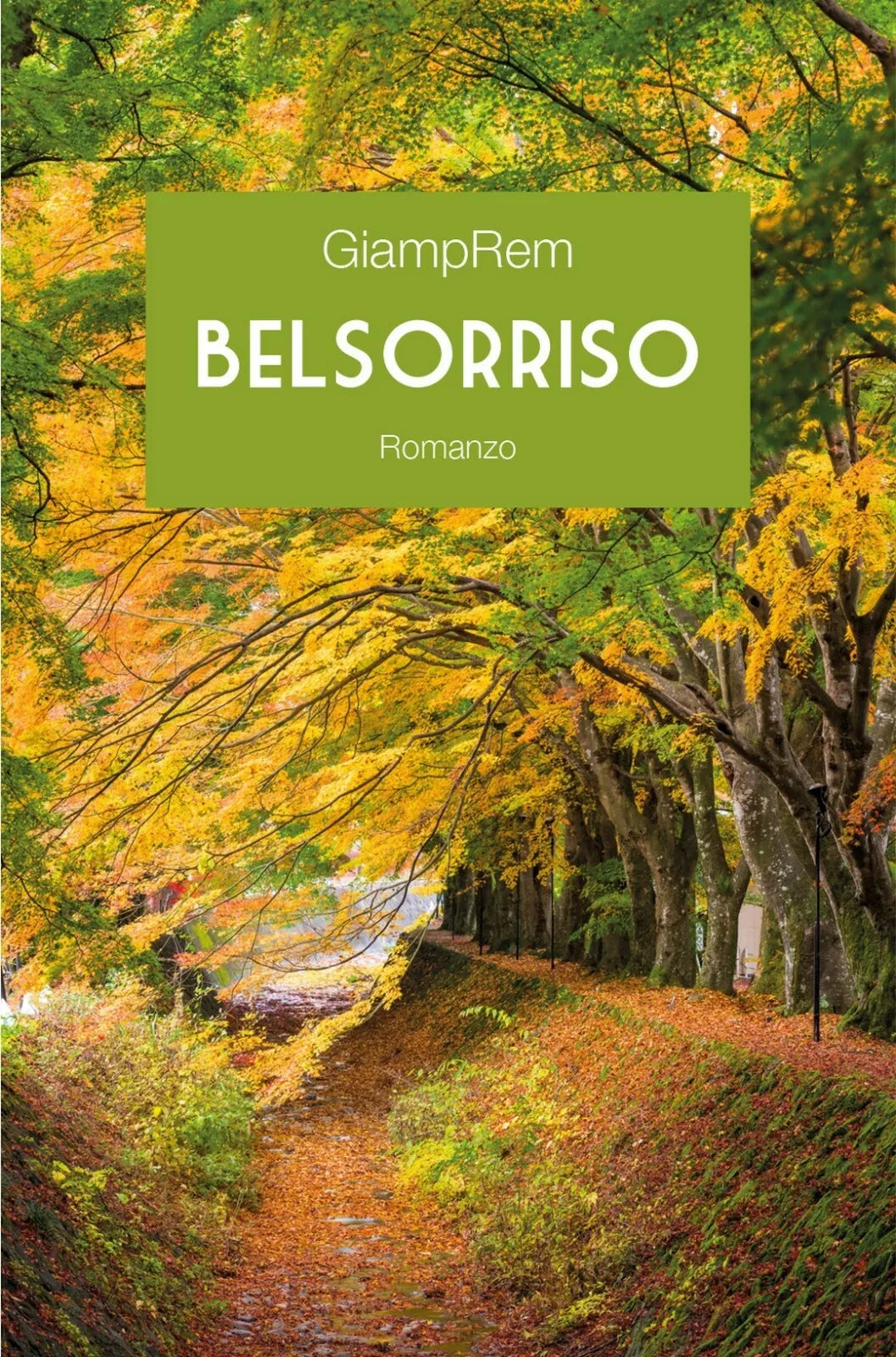 Belsorriso di Giamprem, 2018, Youcanprint