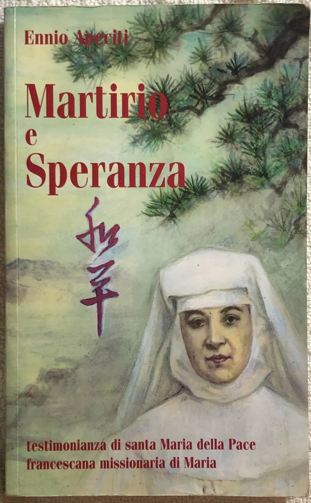 Martirio e speranza di Ennio Apeciti, 2000, Francescane Missionarie Di Maria