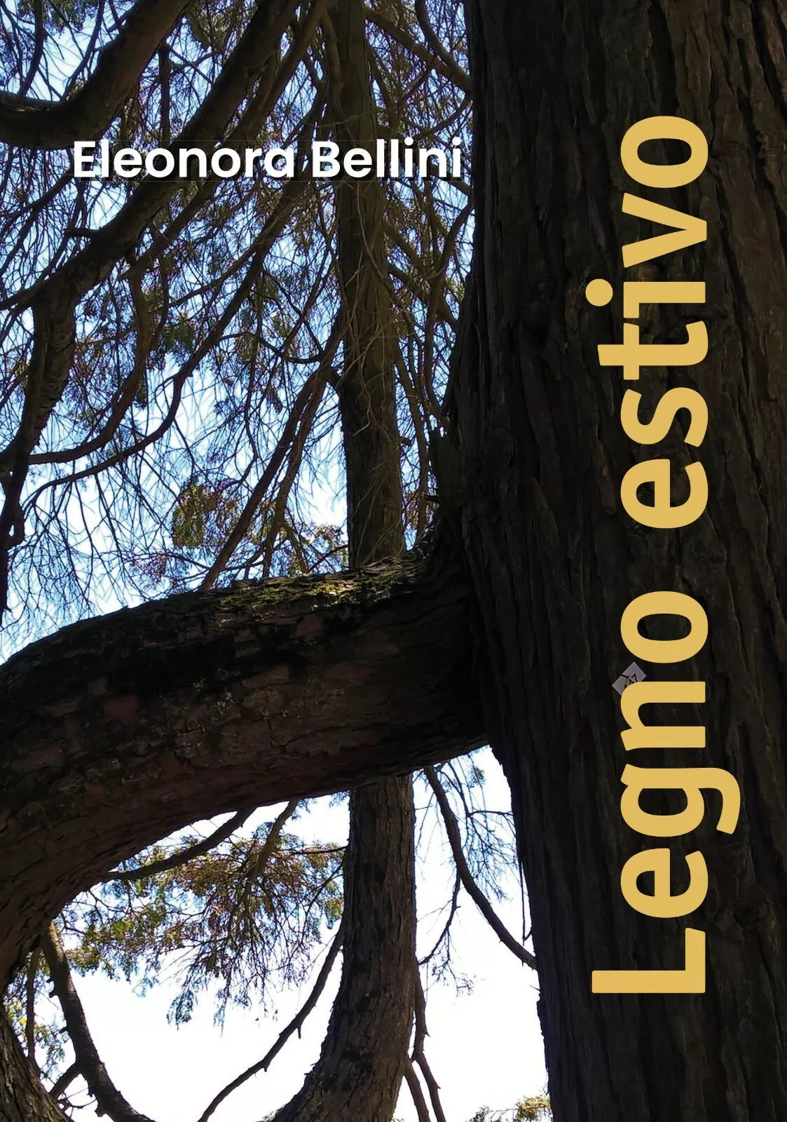 Legno estivo di Eleonora Bellini, 2019, Youcanprint