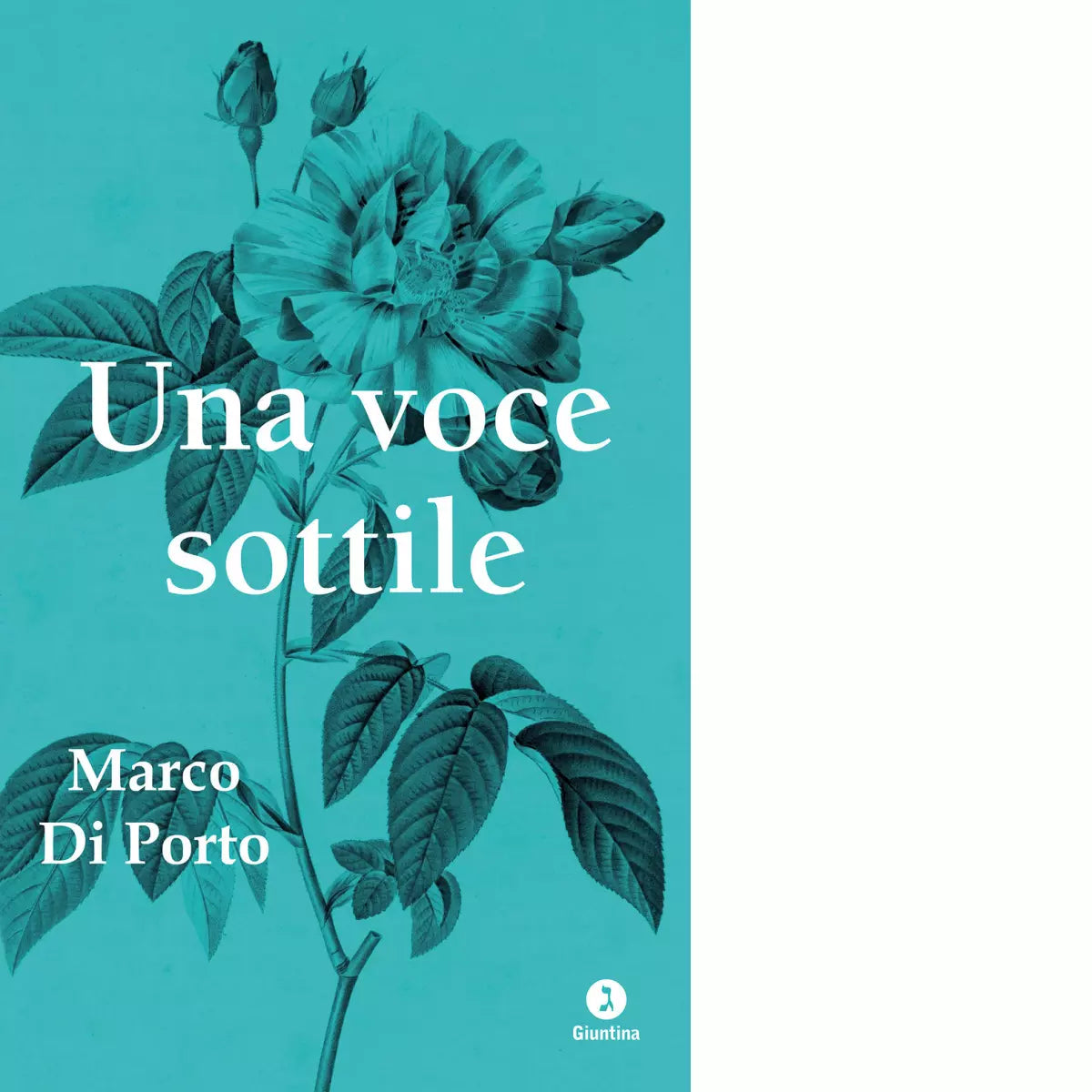 Una voce sottile di Marco Di Porto