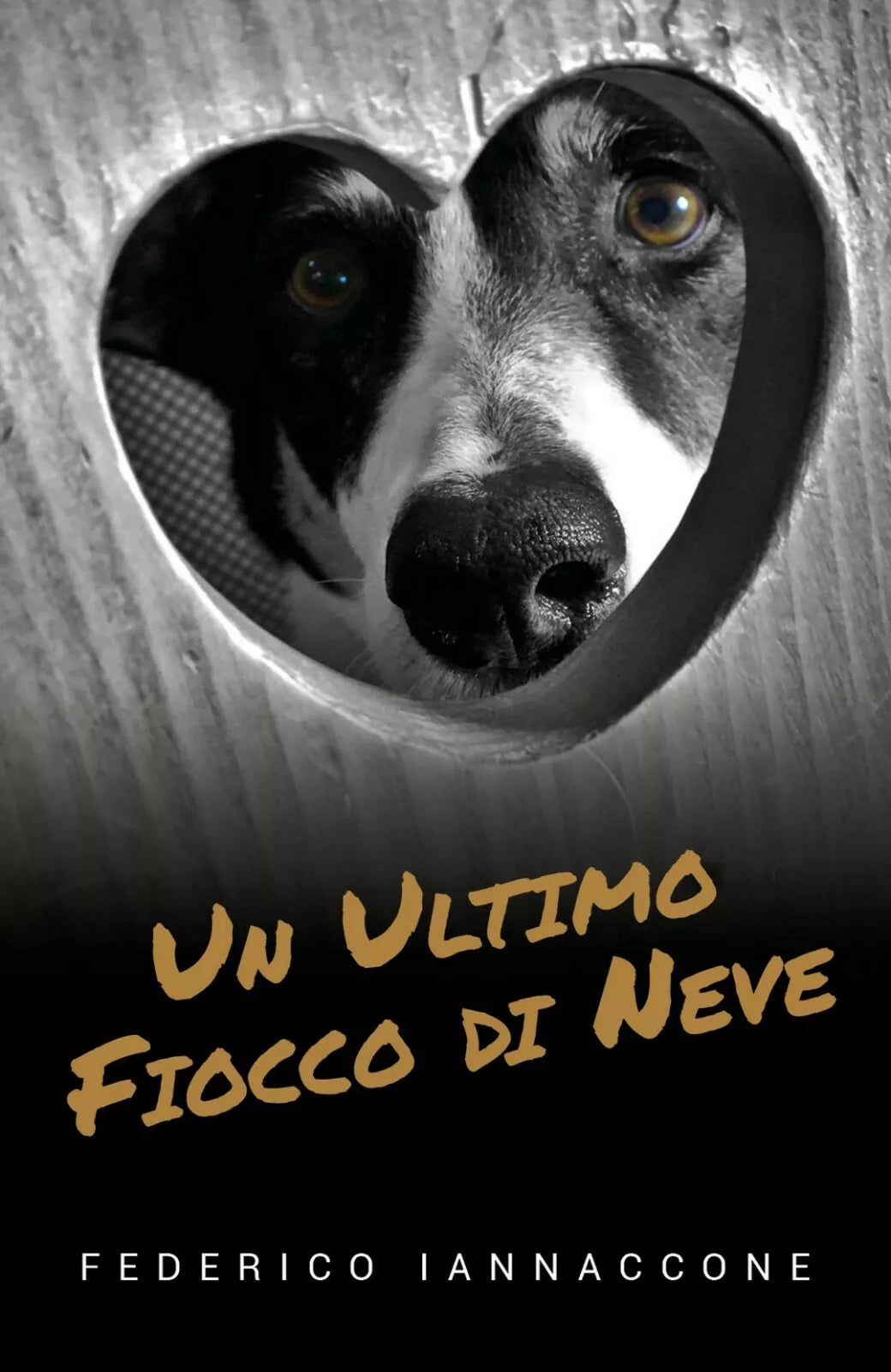 Un ultimo fiocco di neve di Federico Iannaccone, 2019, Youcanprint