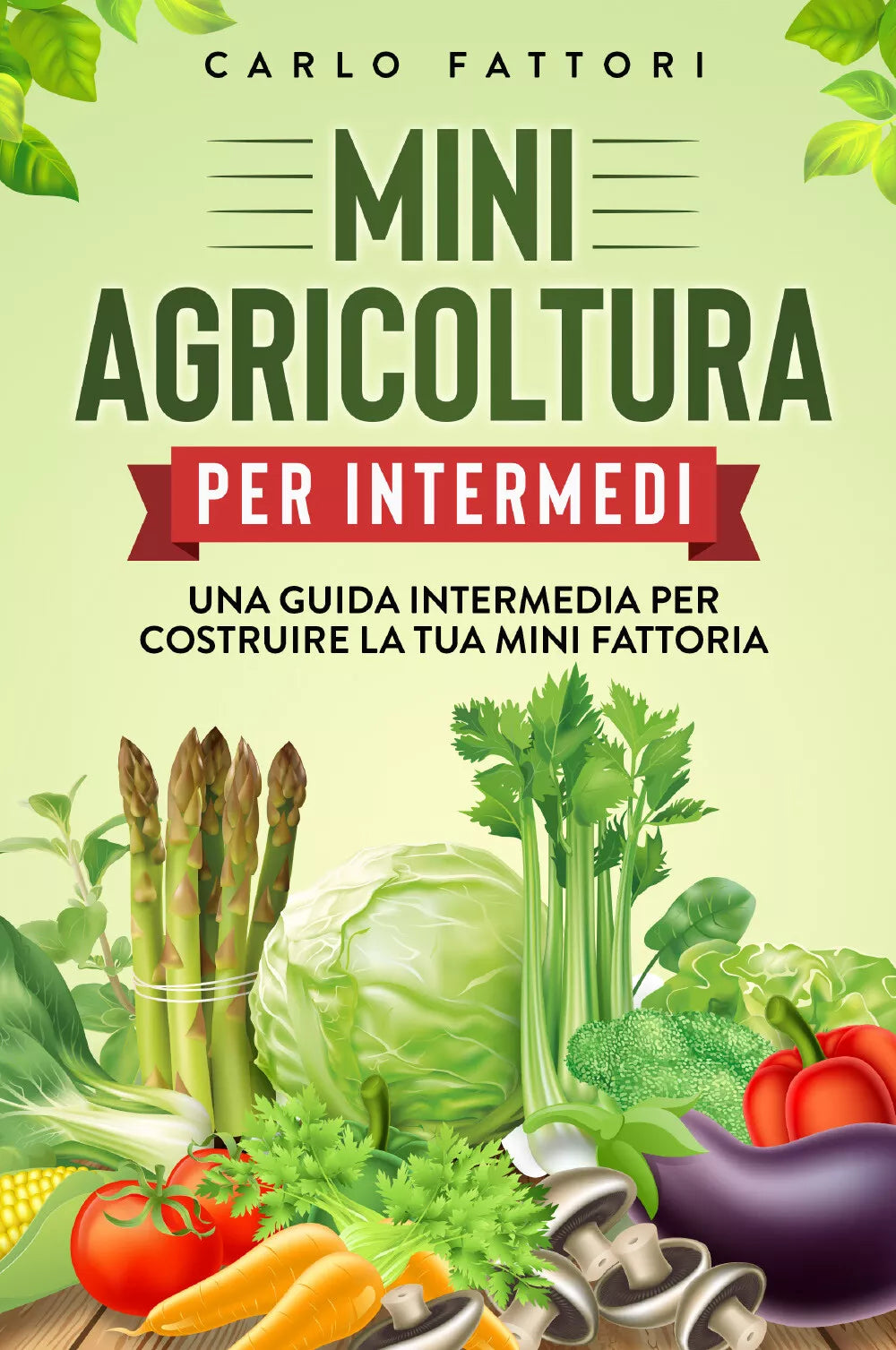 Mini agricoltura per intermedi Una guida intermedia per costruire la tua mini f