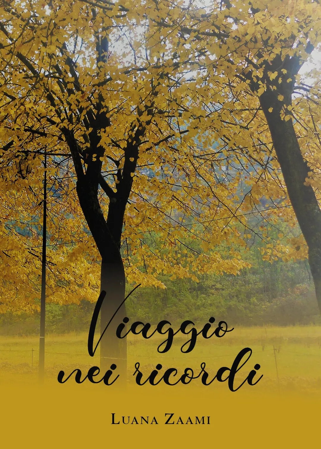 Viaggio nei ricordi di Luana Zaami, 2020, Youcanprint