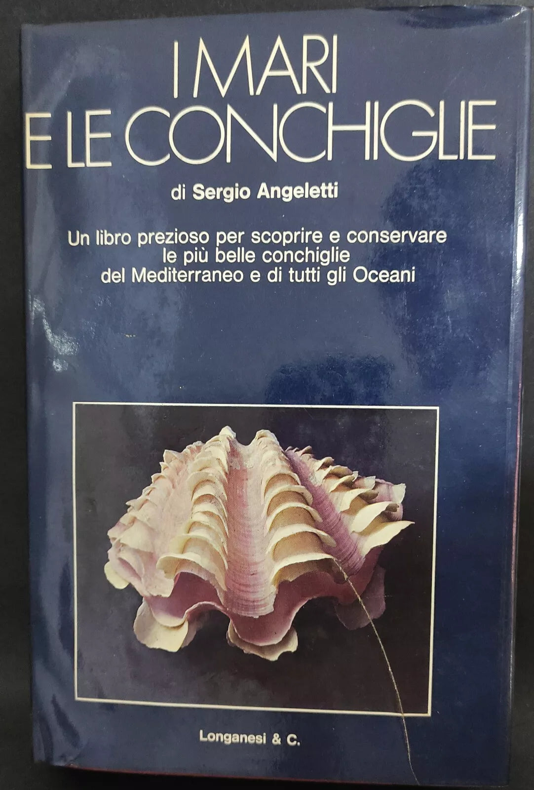 I mari e le conchiglie - Sergio Angeletti 1973