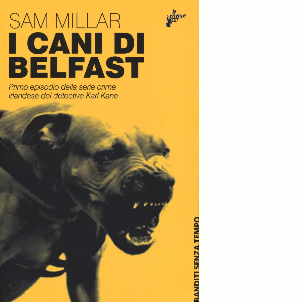 I cani di Belfast di Sam Millar