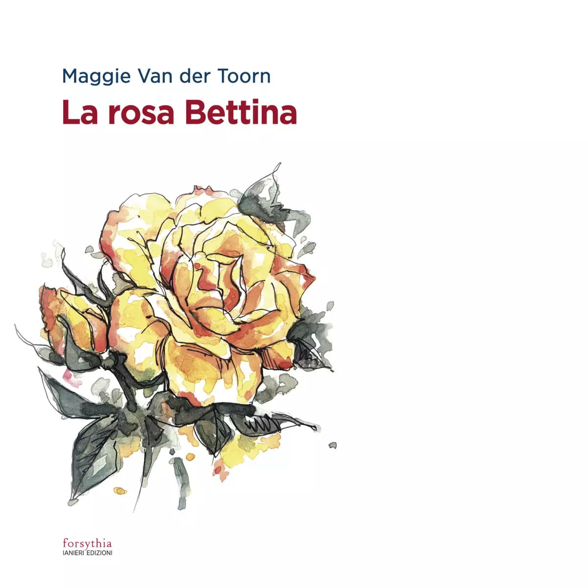 La rosa Bettina di Maggie Van der Toorn