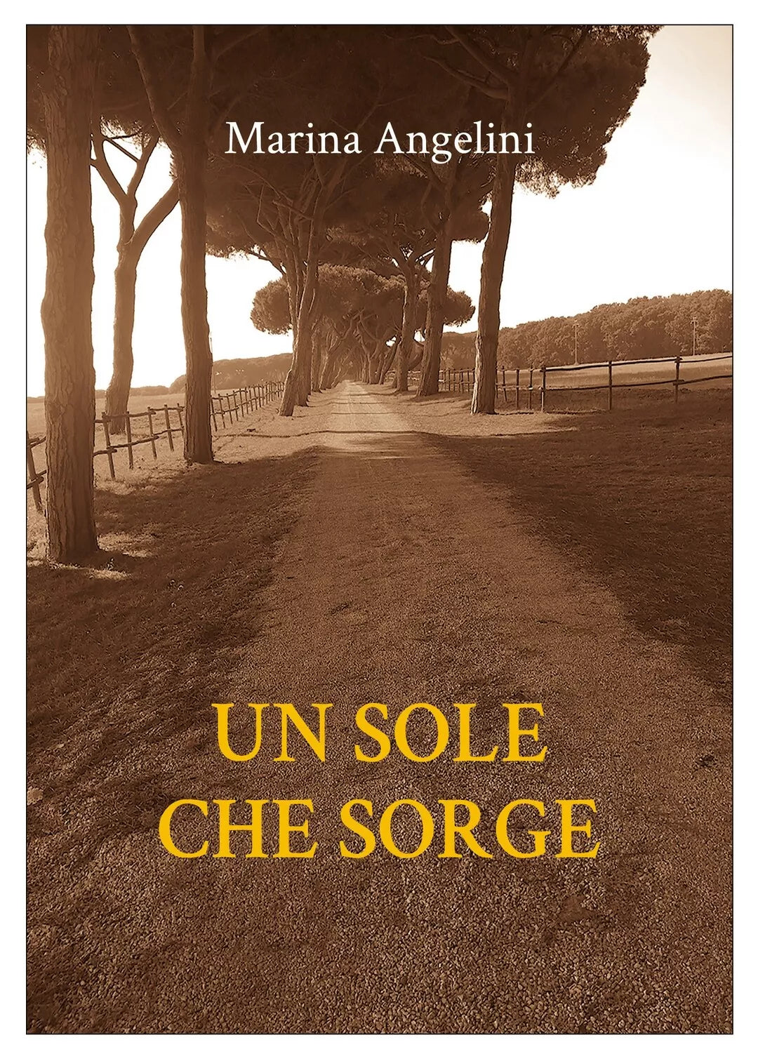 Un sole che sorge di Marina Angelini, 2020, Youcanprint