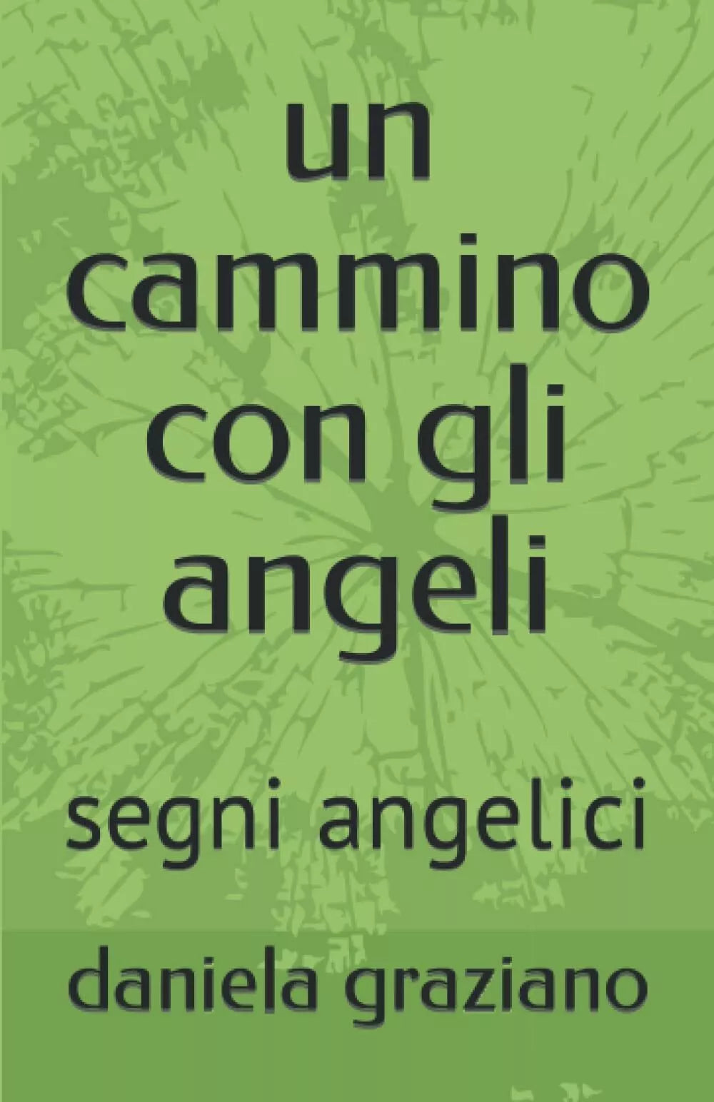 un cammino con gli angeli