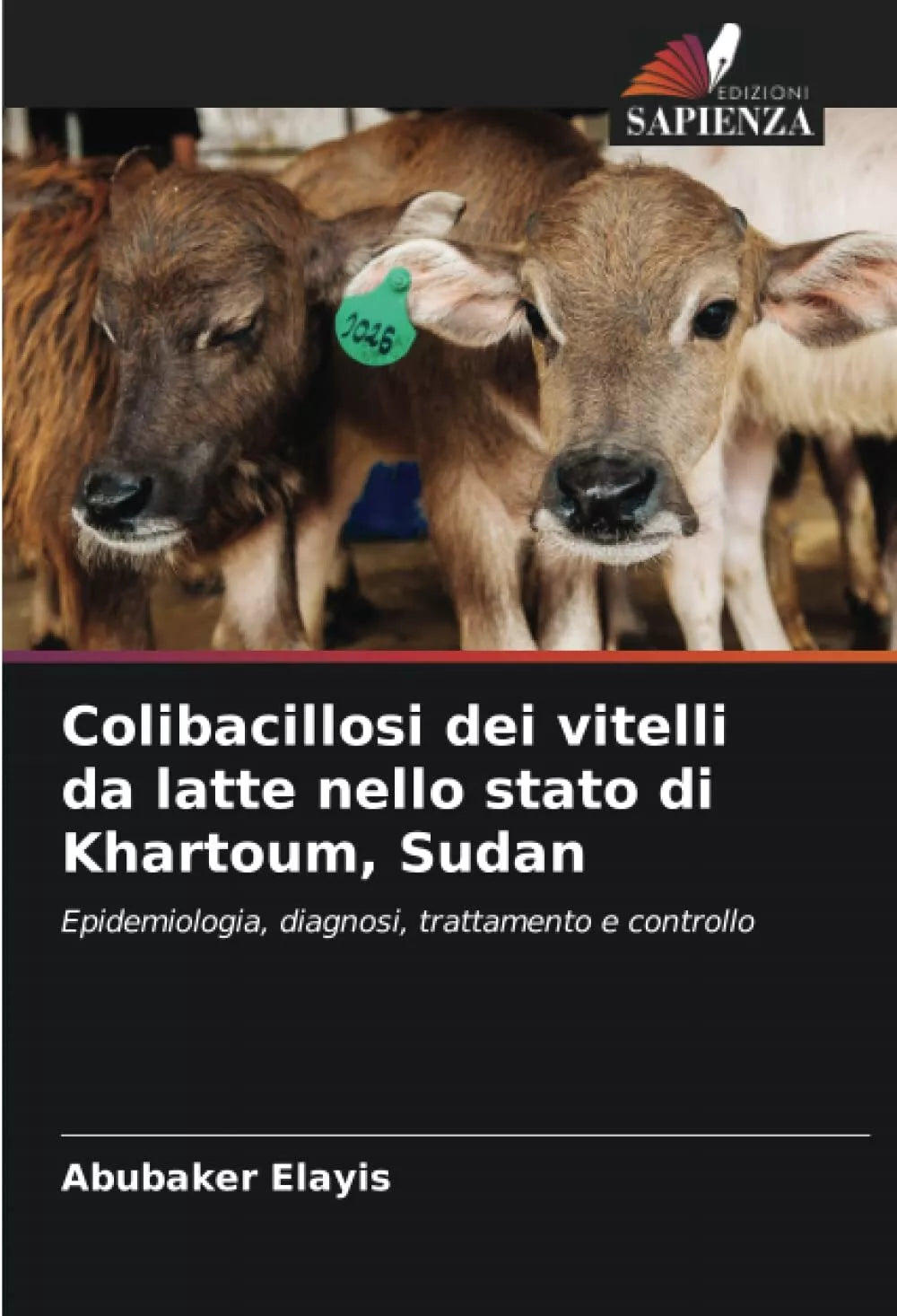 Colibacillosi dei vitelli da latte nello stato di Khartoum