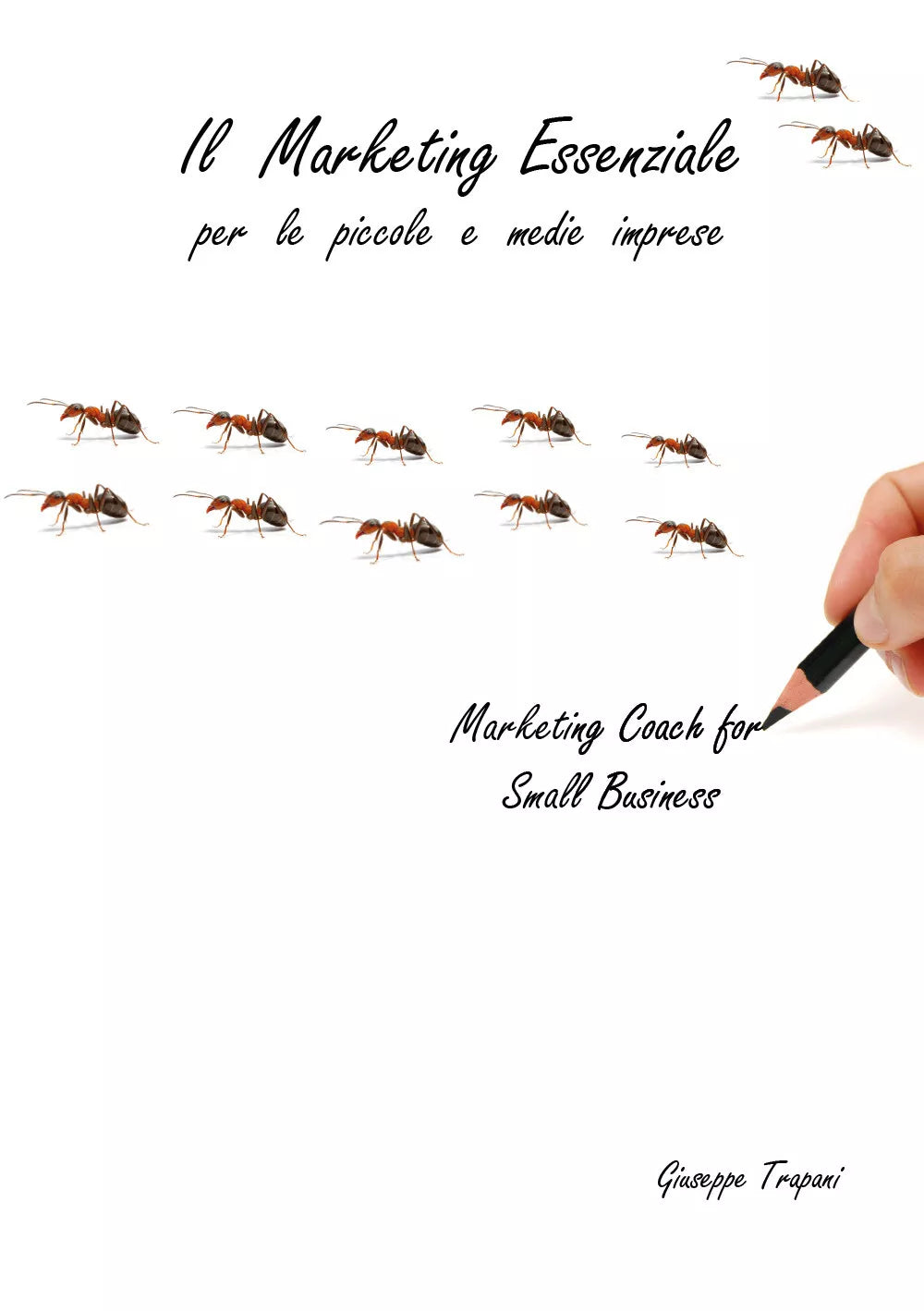 Il marketing essenziale per le piccole e medie imprese - Giuseppe Trapani - P