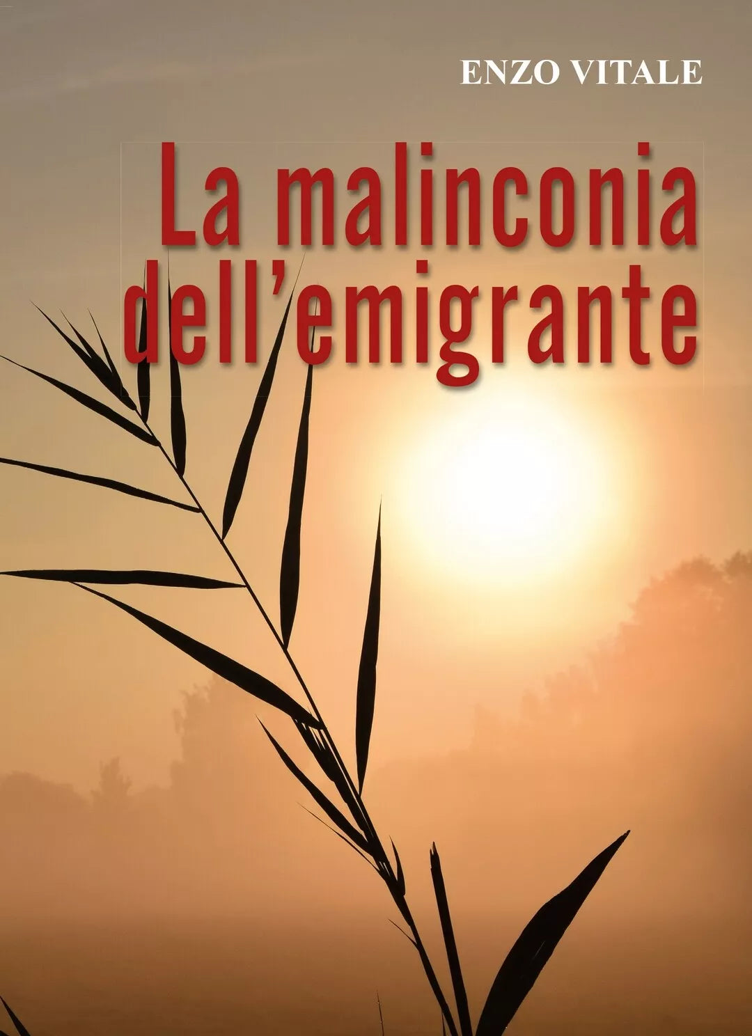 La Malinconia dell’emigrante di Enzo Vitale, 2019, Youcanprint