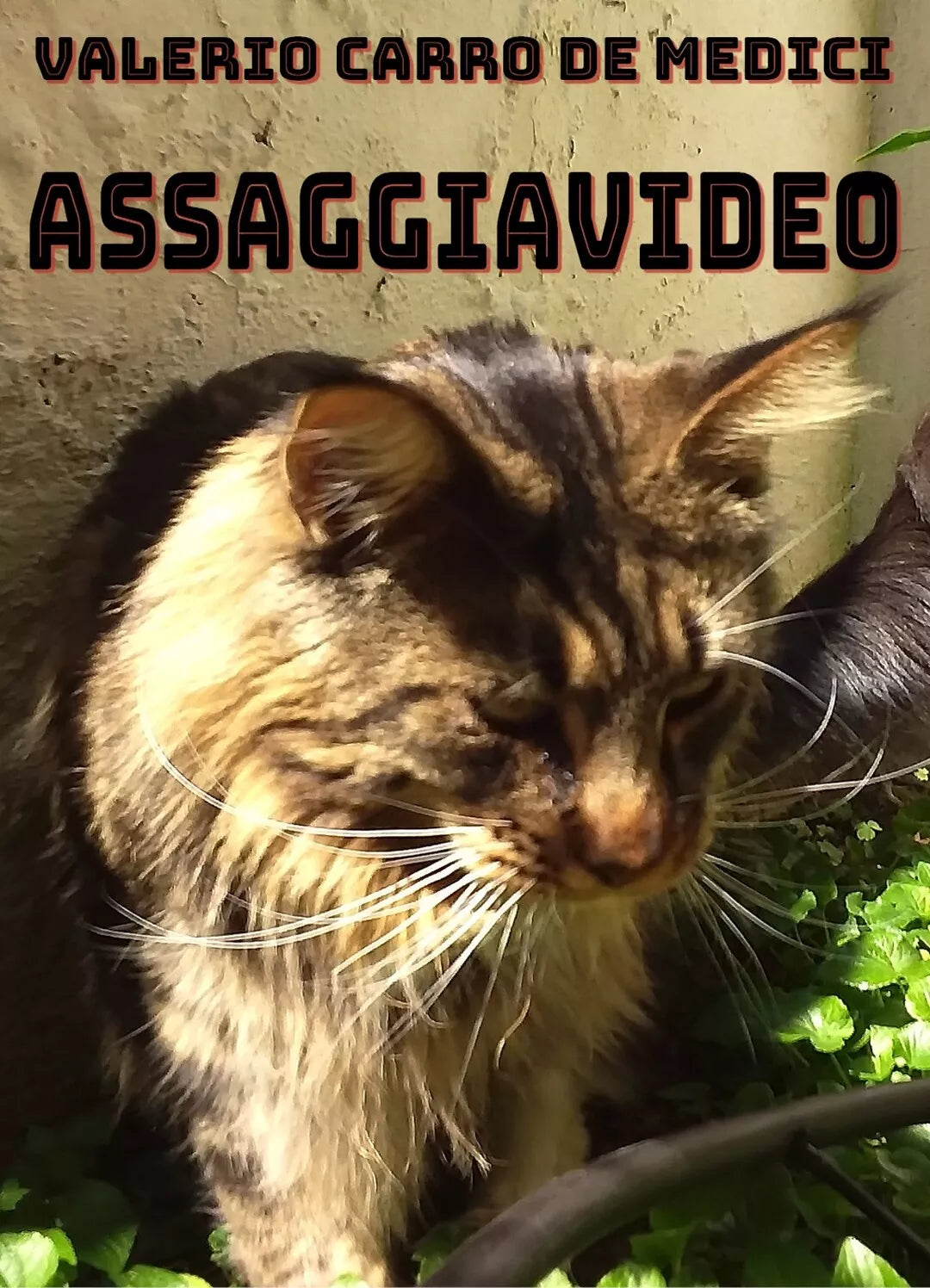 Assaggiavideo di Valerio Carro De Medici, 2020, Youcanprint