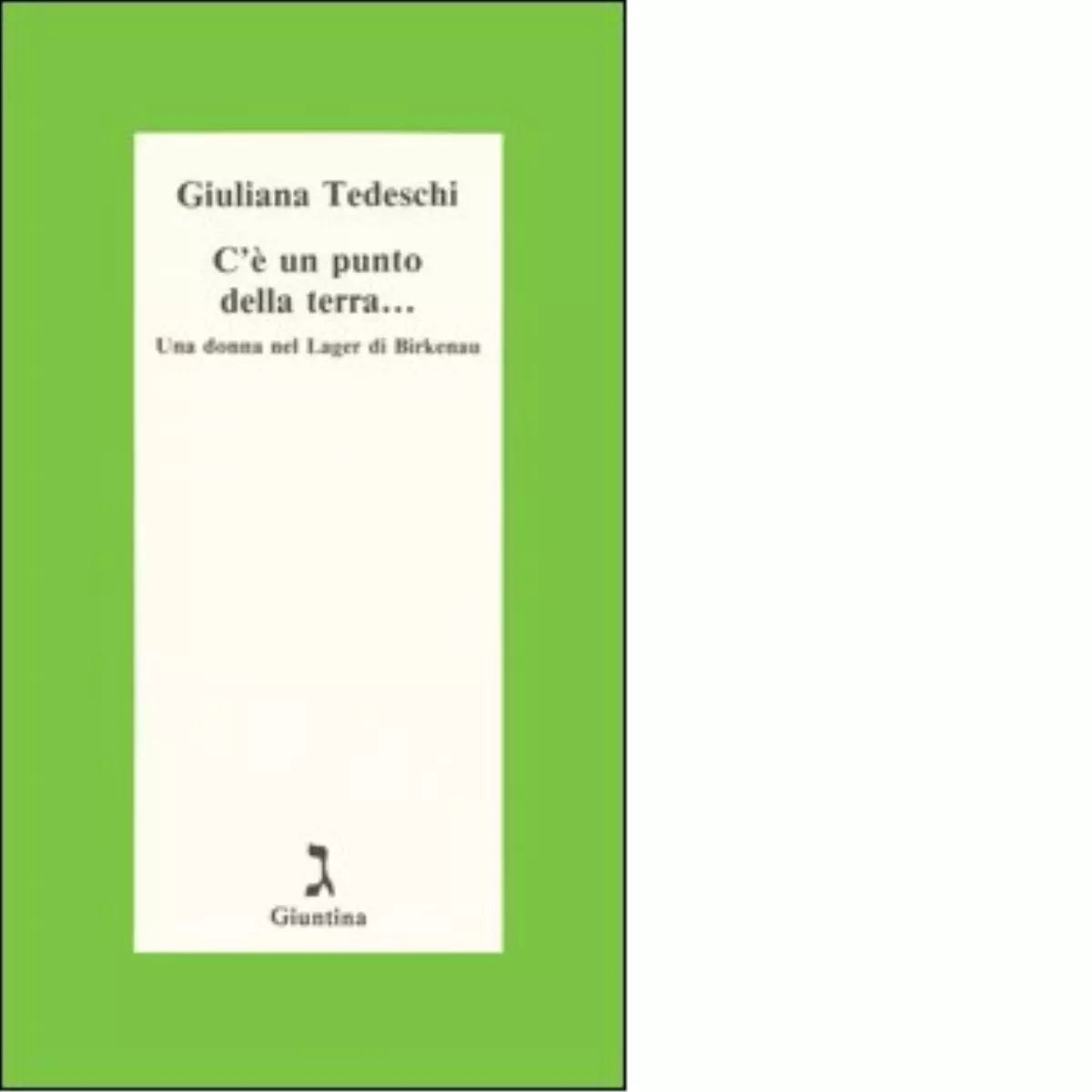 C un punto della terra di Giuliana Tedeschi