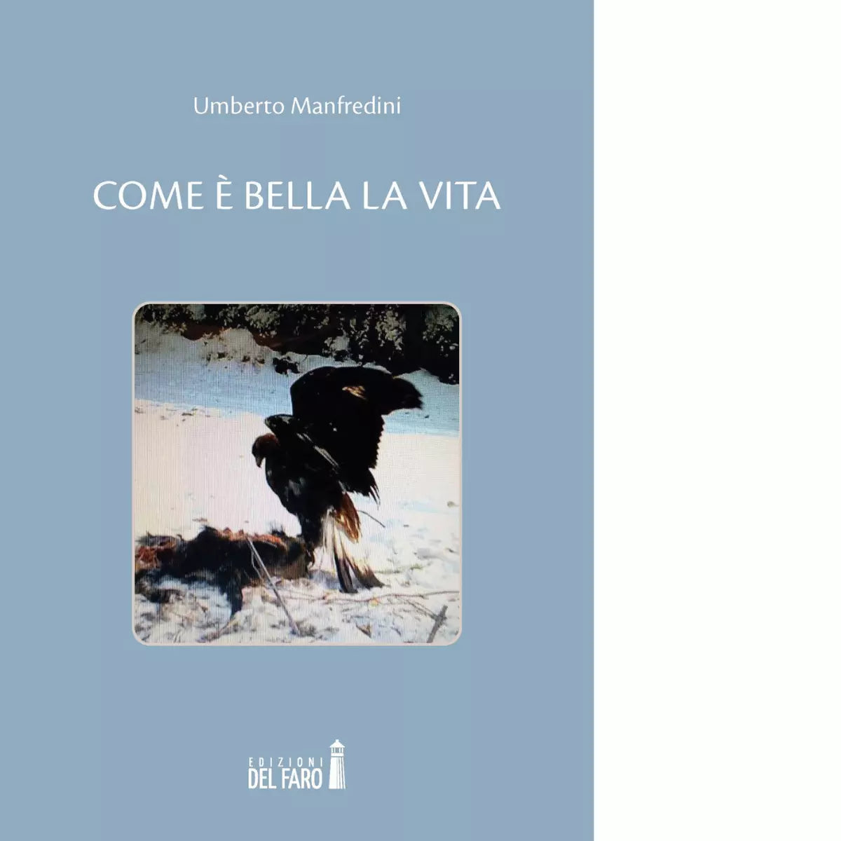 Come bella la vita di Manfredini Umberto