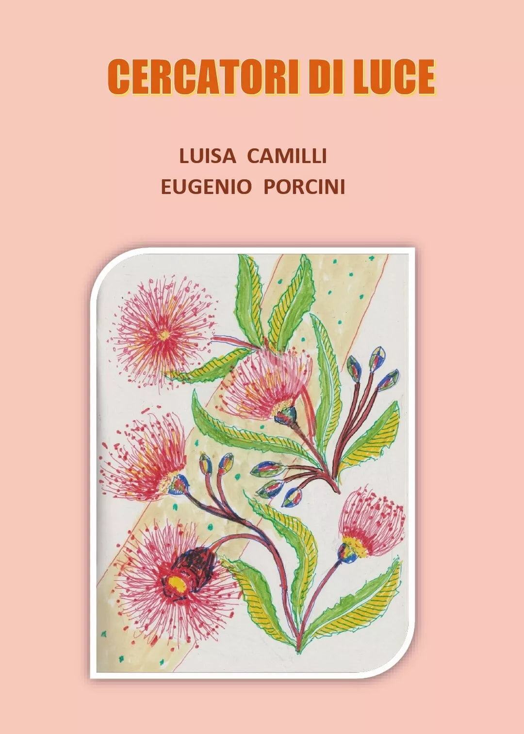 Cercatori di Luce di Luisa Camilli, Eugenio Porcini, 2020, Youcanprint