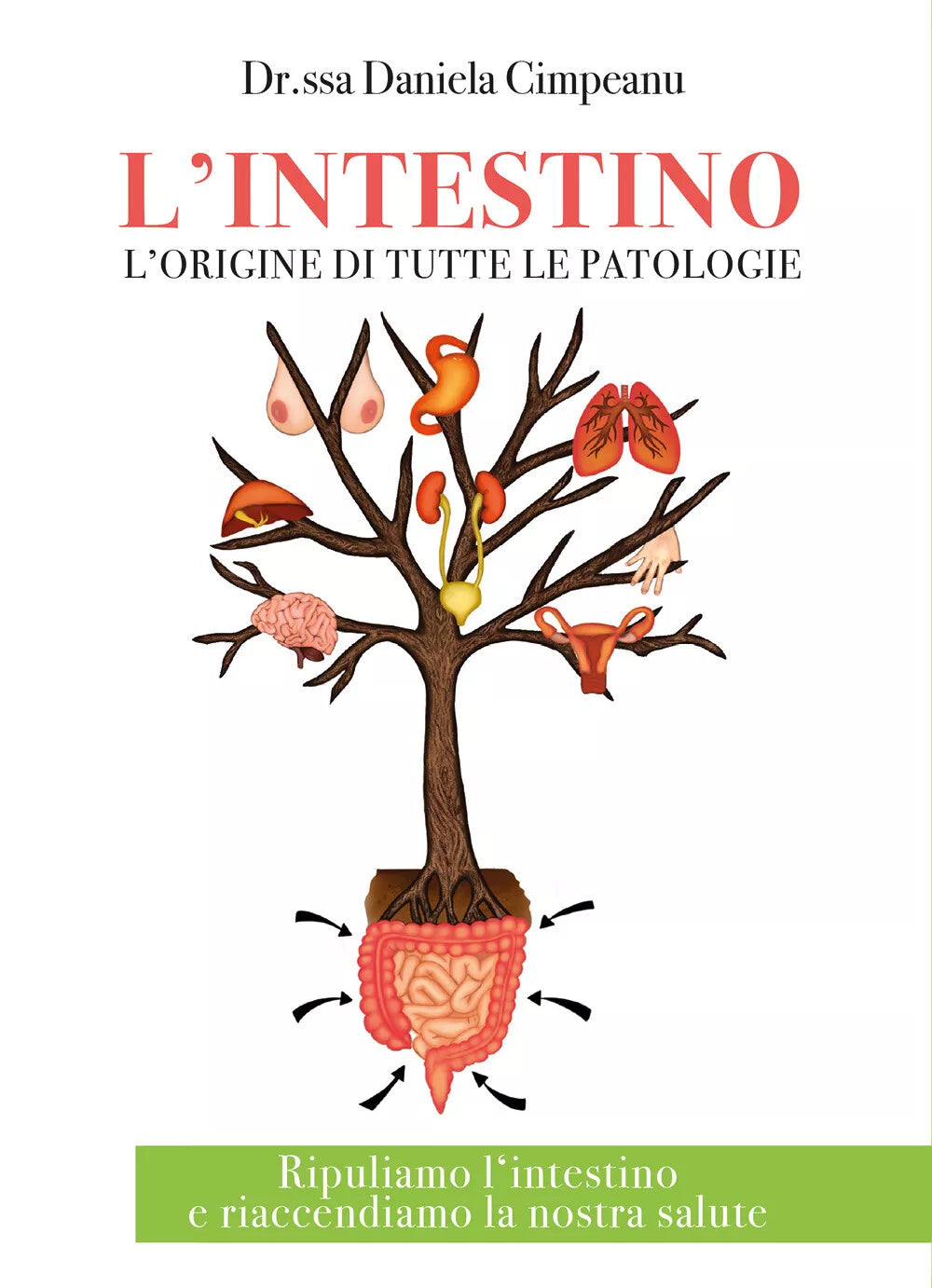 L’intestino l’origine di tutte le patologie Ripuliamo l’intestino e riaccendiam