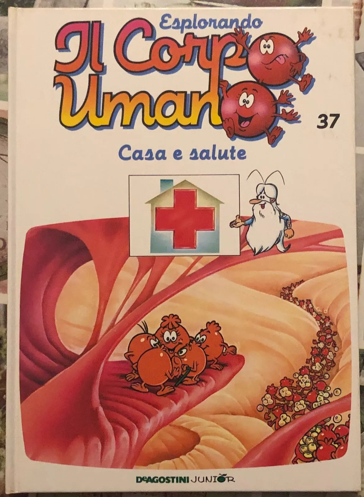 Esplorando il corpo umano n 37